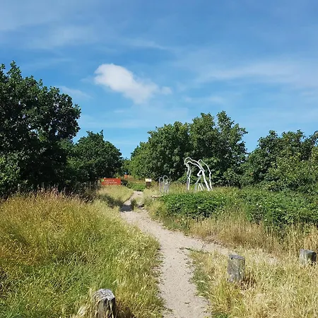 In Near Sea And Forest, Cleaning Included Groet