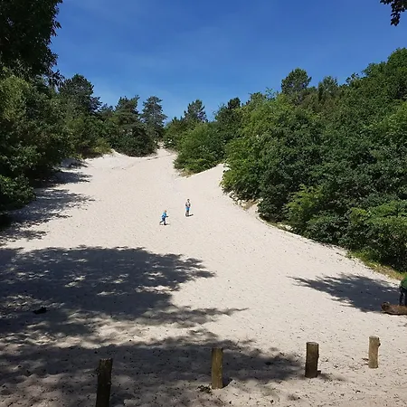 In Near Sea And Forest, Cleaning Included Σπίτι διακοπών